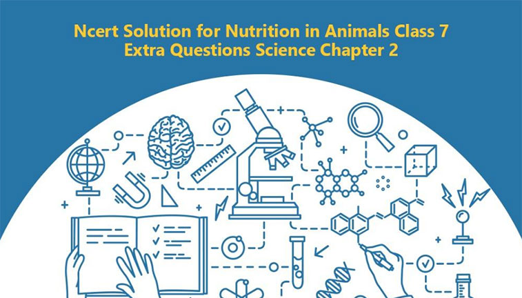 NCERT Solution for Nutrition in Animals Class 7 Extra Questions Science  Chapter 2